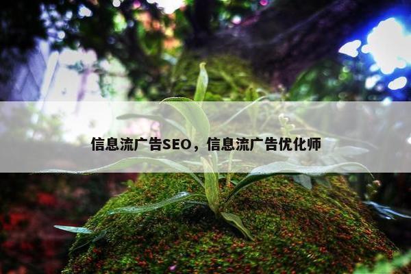 信息流广告SEO，信息流广告优化师
