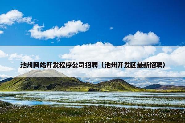 池州网站开发程序公司招聘（池州开发区最新招聘）