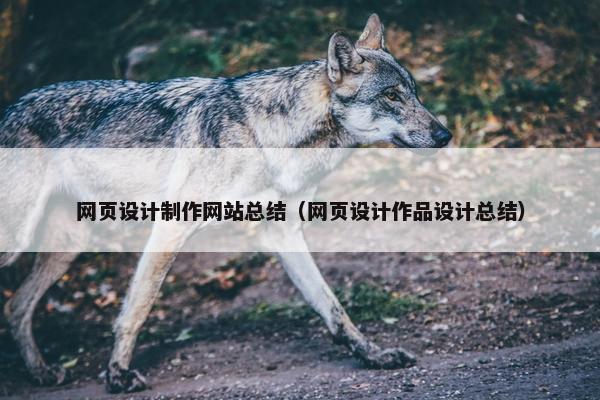 网页设计制作网站总结（网页设计作品设计总结）