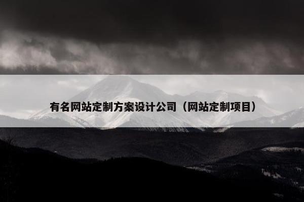 有名网站定制方案设计公司（网站定制项目）