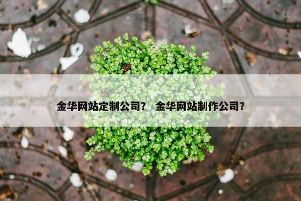 金华网站定制公司？ 金华网站制作公司？