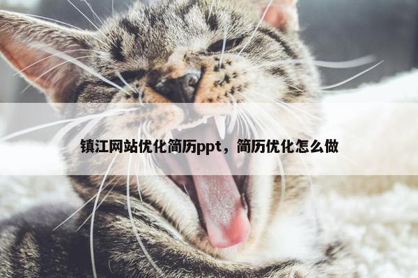 镇江网站优化简历ppt，简历优化怎么做