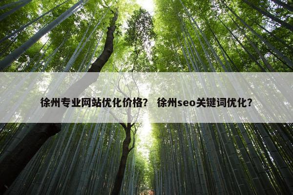 徐州专业网站优化价格？ 徐州seo关键词优化？