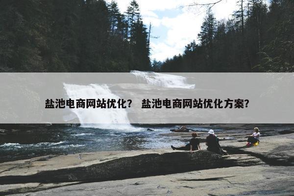 盐池电商网站优化？ 盐池电商网站优化方案？