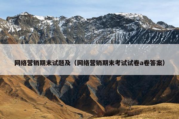 网络营销期末试题及（网络营销期末考试试卷a卷答案）