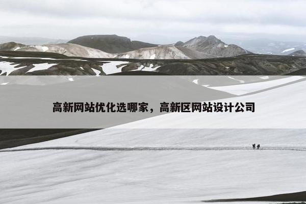 高新网站优化选哪家，高新区网站设计公司