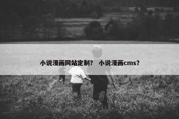 小说漫画网站定制？ 小说漫画cms？
