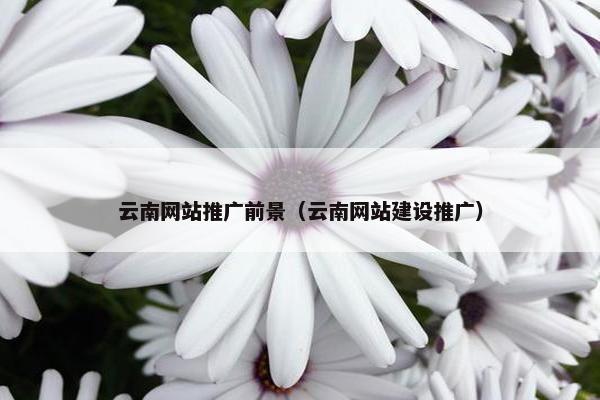 云南网站推广前景（云南网站建设推广）