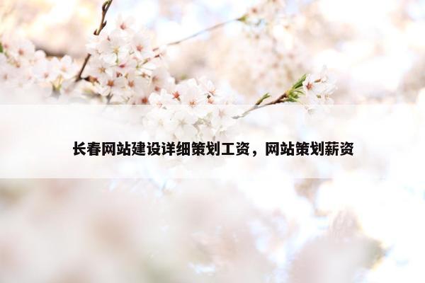 长春网站建设详细策划工资，网站策划薪资
