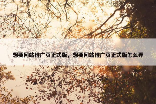 想要网站推广页正式版，想要网站推广页正式版怎么弄