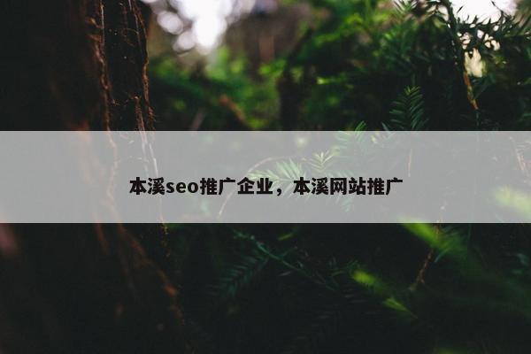 本溪seo推广企业，本溪网站推广