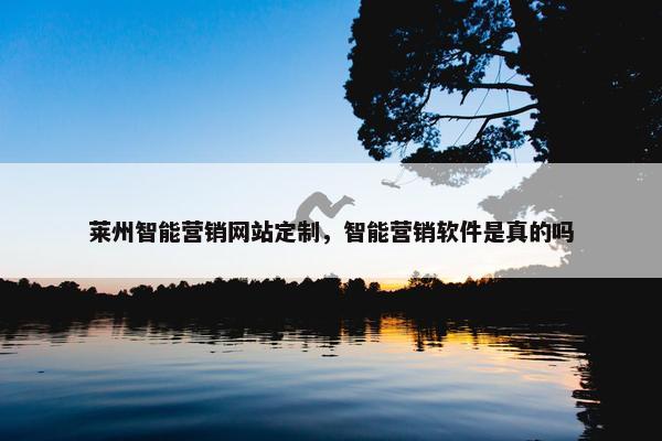 莱州智能营销网站定制，智能营销软件是真的吗