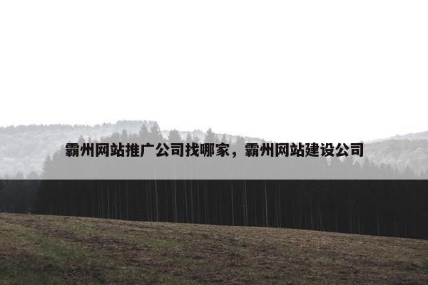 霸州网站推广公司找哪家，霸州网站建设公司