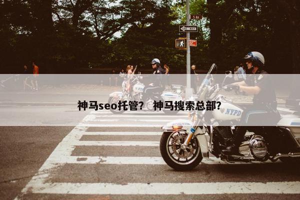 神马seo托管？ 神马搜索总部？