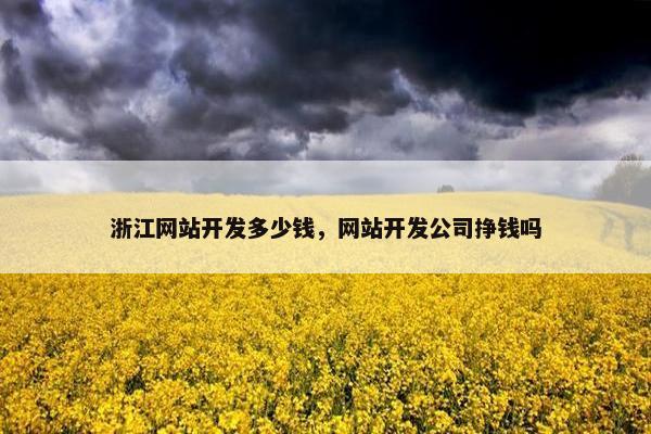浙江网站开发多少钱，网站开发公司挣钱吗
