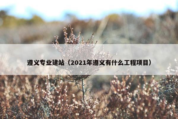 遵义专业建站（2021年遵义有什么工程项目）