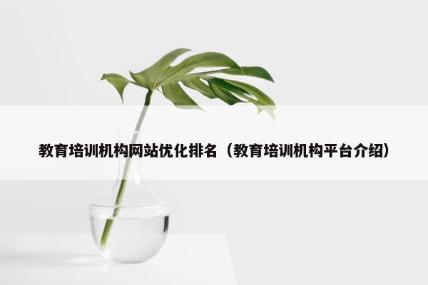 教育培训机构网站优化排名（教育培训机构平台介绍）