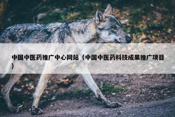 中国中医药推广中心网站（中国中医药科技成果推广项目）