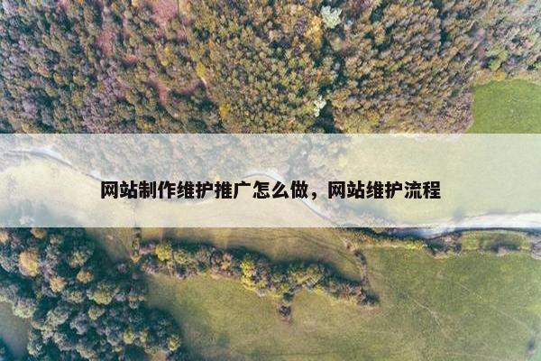 网站制作维护推广怎么做，网站维护流程