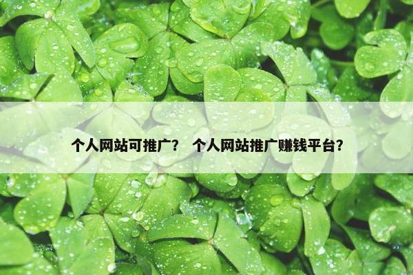 个人网站可推广？ 个人网站推广赚钱平台？