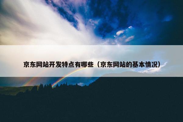 京东网站开发特点有哪些（京东网站的基本情况）