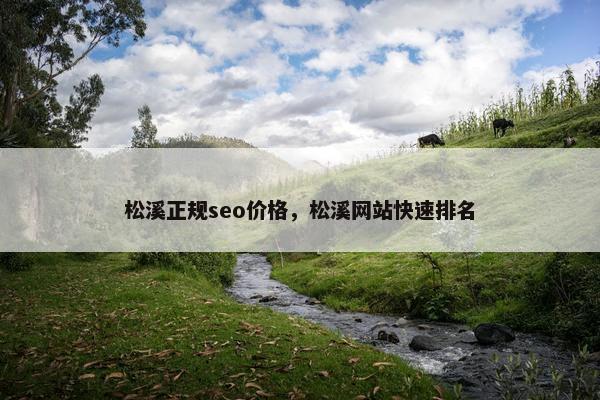 松溪正规seo价格，松溪网站快速排名