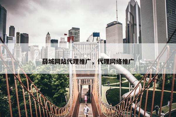薛城网站代理推广，代理网络推广