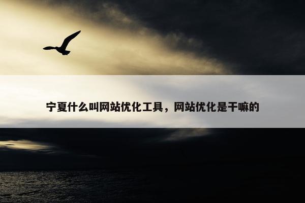 宁夏什么叫网站优化工具，网站优化是干嘛的