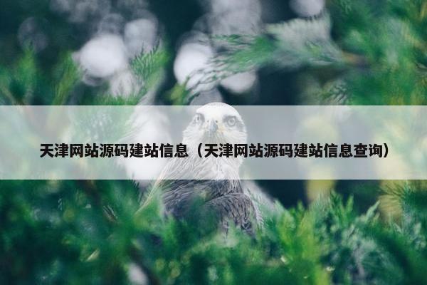 天津网站源码建站信息（天津网站源码建站信息查询）