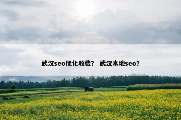 武汉seo优化收费？ 武汉本地seo？