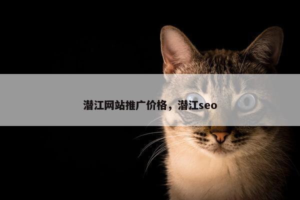 潜江网站推广价格，潜江seo