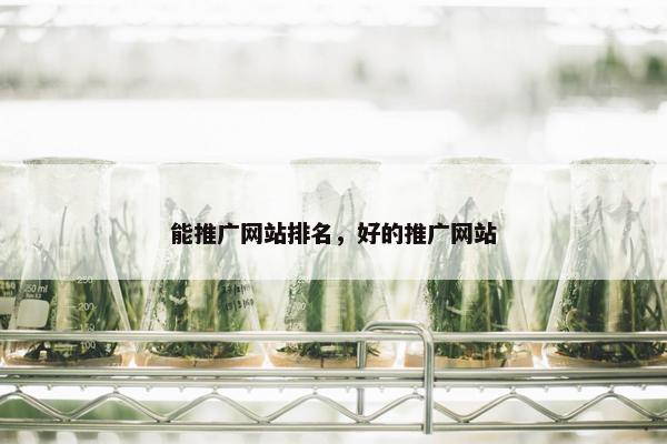 能推广网站排名，好的推广网站