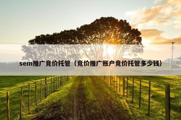 sem推广竞价托管（竞价推广账户竞价托管多少钱）
