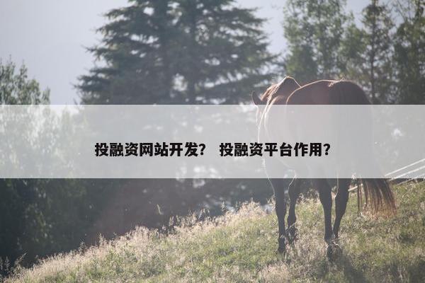 投融资网站开发？ 投融资平台作用？