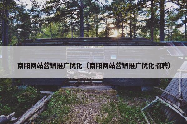 南阳网站营销推广优化（南阳网站营销推广优化招聘）