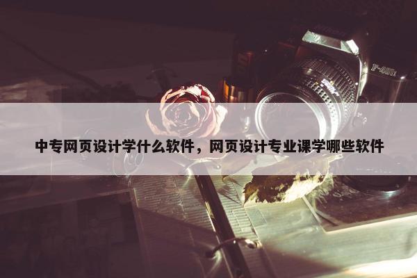 中专网页设计学什么软件，网页设计专业课学哪些软件