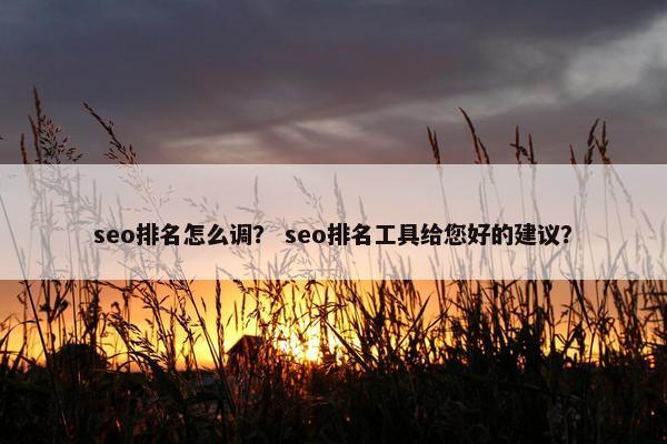 seo排名怎么调？ seo排名工具给您好的建议？