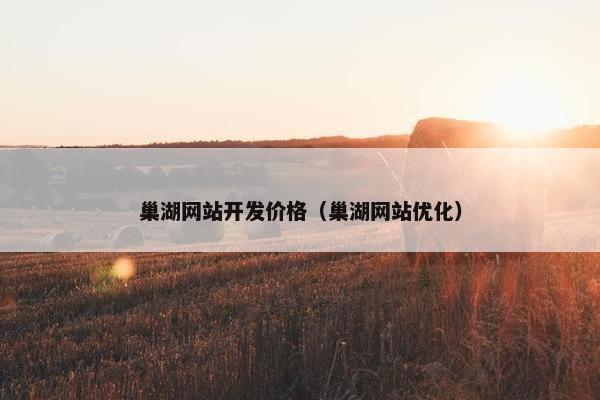 巢湖网站开发价格（巢湖网站优化）