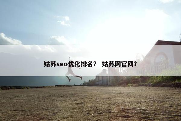 姑苏seo优化排名？ 姑苏网官网？