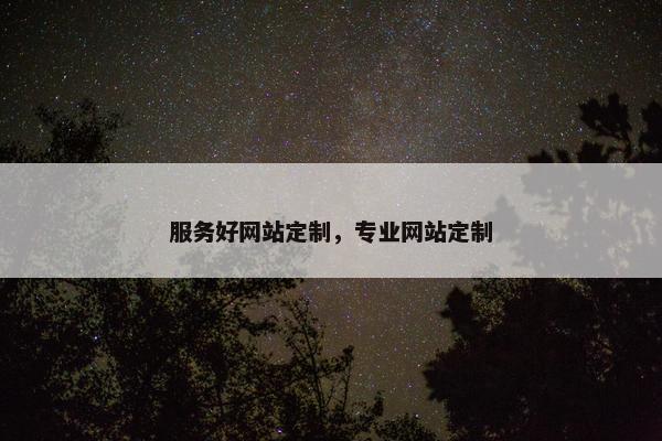 服务好网站定制，专业网站定制