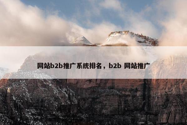网站b2b推广系统排名，b2b 网站推广