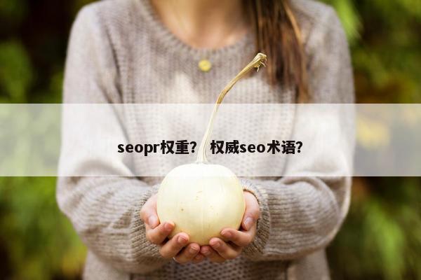 seopr权重？ 权威seo术语？