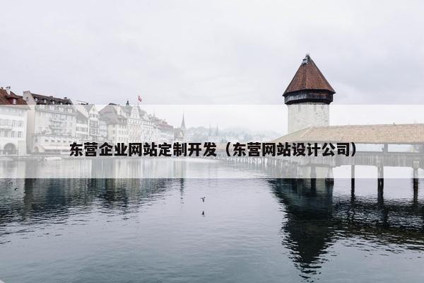 东营企业网站定制开发（东营网站设计公司）