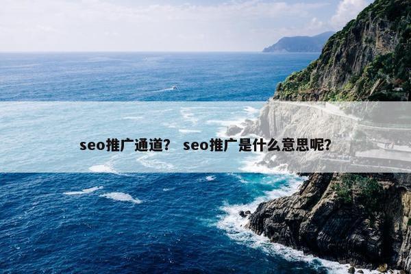 seo推广通道？ seo推广是什么意思呢？