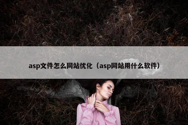 asp文件怎么网站优化（asp网站用什么软件）