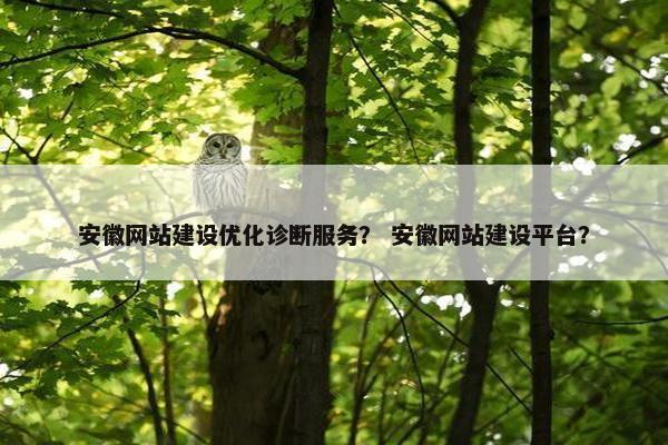 安徽网站建设优化诊断服务？ 安徽网站建设平台？