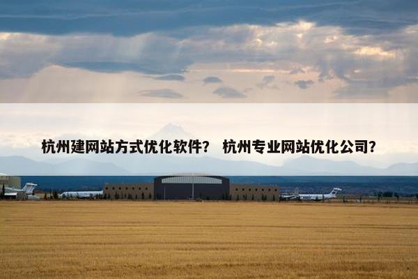 杭州建网站方式优化软件？ 杭州专业网站优化公司？