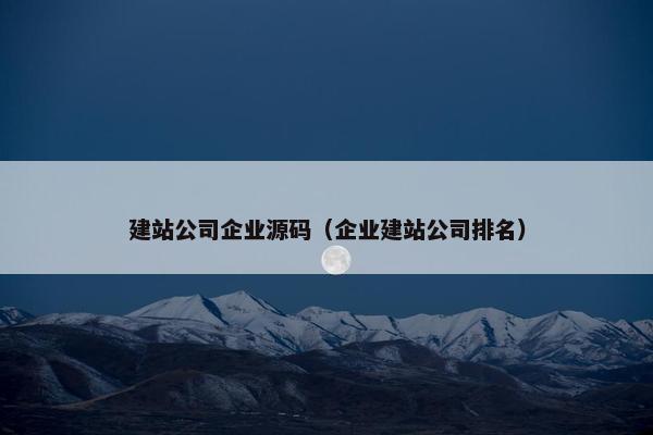 建站公司企业源码（企业建站公司排名）