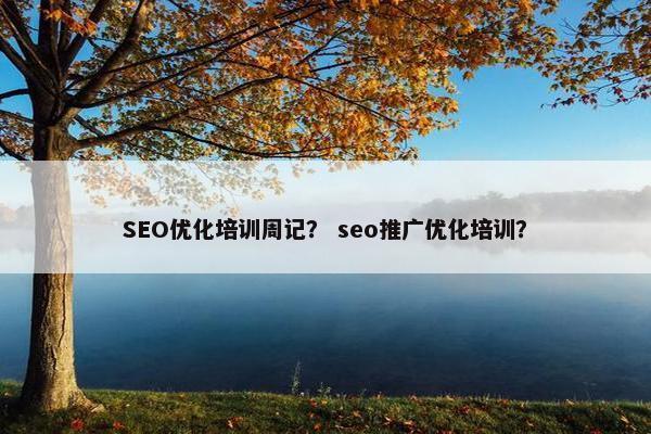SEO优化培训周记？ seo推广优化培训？