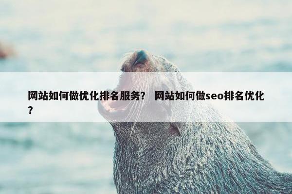 网站如何做优化排名服务？ 网站如何做seo排名优化？